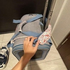 ペットキャリー　ペットパラダイスで購入したものですの画像
