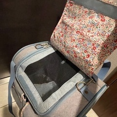 ペットキャリー　ペットパラダイスで購入したものですの画像