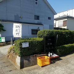 5/4めだか販売
