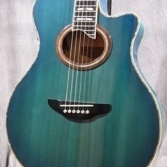 YAMAHA  APX-20CS