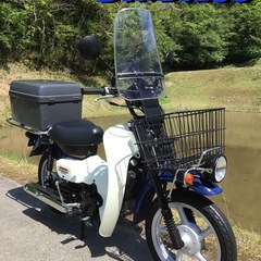 スズキ　バーディー50 新聞バーディー　超低走行！極上美車！　イ...