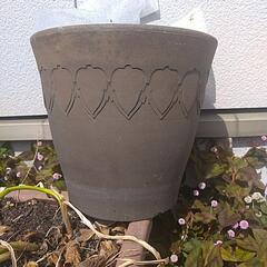 植木鉢陶器。サイズはタバコの大きさで確認してね‼️👍️