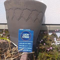 植木鉢陶器。サイズはタバコの大きさで確認してね‼️👍️の画像