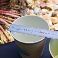 【未使用/ガーデニング雑貨】GREEN HOUSE/グリーンハウス 多肉植物用/デコレーションプラスチックポット 2個セットの画像