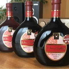 フルボディ赤ワイン５本　【おまけ付】の画像