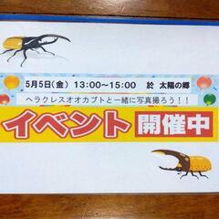 ヘラクレスオオカブトと記念撮影