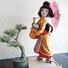 【人形のみ/松売れました】作家作品　人形