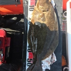 魚がさばける方