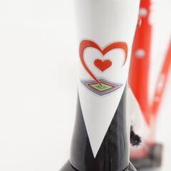 DEROSA 「デローザ」 AVANT 2010モデル フレームの画像