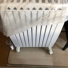 ヒーター、デロンギ？！笑の画像