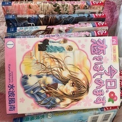 漫画　今日恋をはじめます。前15巻の画像
