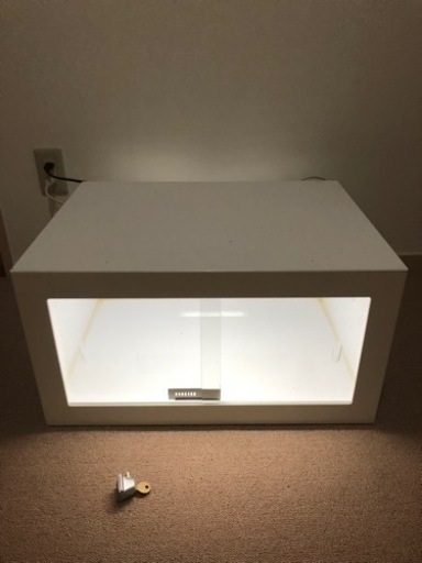 爬虫類　ケージ