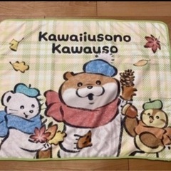 かわいいブランケット