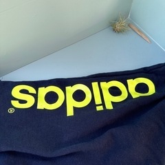 部屋着なら大丈夫だと思いますadidasだと思います7分丈パンツの画像