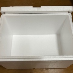 発泡スチロールの箱の画像