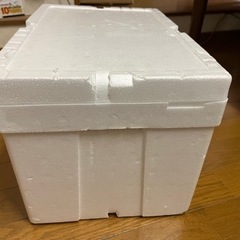 発泡スチロールの箱の画像