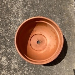 お譲りします−イタリア製テラコッタ(丸鉢)