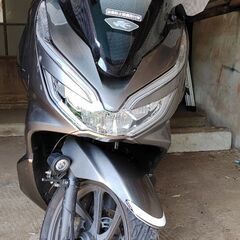 ホンダPCX125の画像