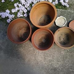 植木鉢と受け皿
