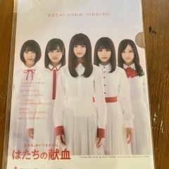 レア　非売品　乃木坂46  献血　クリアファイル
