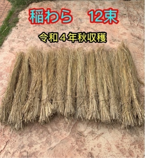 《4》稲藁（稲わら）12束