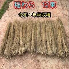 《4》稲藁（稲わら）12束
