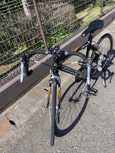 GIANT OCR24