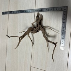 スマトラウッド流木 2本の画像