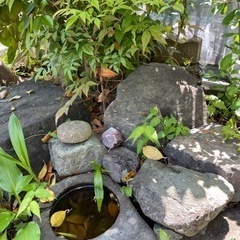 庭石