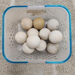 ソフトテニスボール　無料
