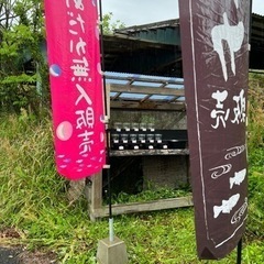 GW 5日、6日限定　めだか無人販売の画像
