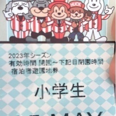 ルスツリゾート！　遊園地チケット！