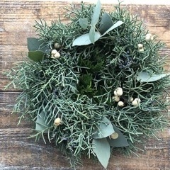 🌲ブルーアイス枝物🌲装飾用切花枝物の画像