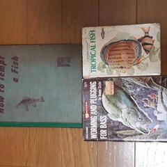 英語本、教科書、辞書、絵本、まとめて　オブジェ　の画像