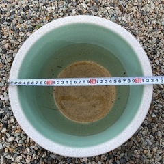 睡蓮鉢　③ 値下げの画像