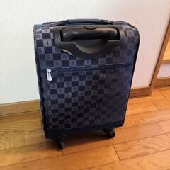 小型キャリーバッグの画像