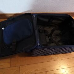 小型キャリーバッグの画像