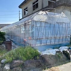 ビニールハウス骨組み。の画像
