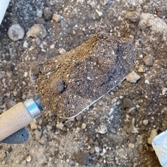 庭　土　差し上げますの画像