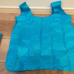 【新品未使用】エコバッグ　水色の画像