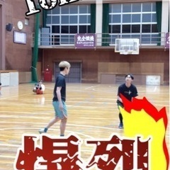 参加者を募集します！