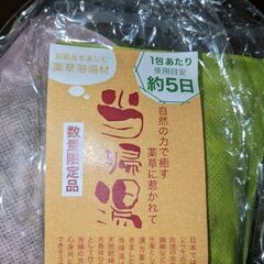 当帰湯　自律神経　うつ病の画像
