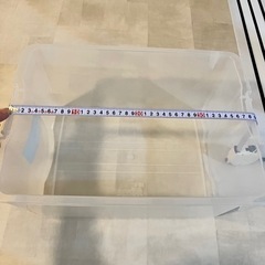 衣類ケース　収納ケース　1個の画像
