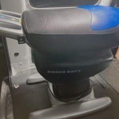 ダイエットに最適！？ ロデオボーイⅡ  乗馬体験