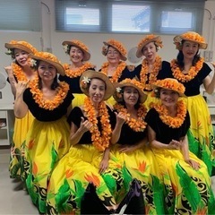 フラダンス　シニアメンバー募集