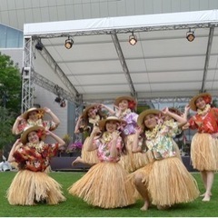 初心者フラダンス 無料体験の画像