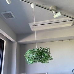 Di Classeアローロペンダントランプ