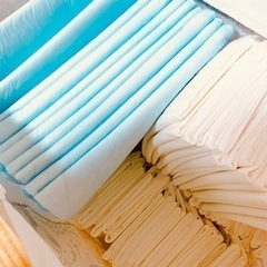 【決まりました】SANKO 小動物用ケージ シャトルマルチR85 専用すのこ付きの画像