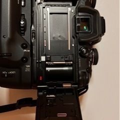 売れましたの画像