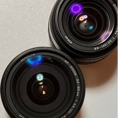 売れましたの画像